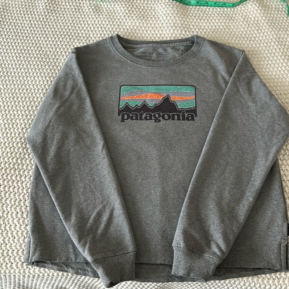 Patagonia sweatshirt. Gray. Size Large.